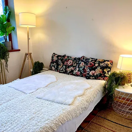 Downtown Spot At The Danube *