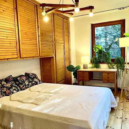 Downtown Spot At The Danube Budapest