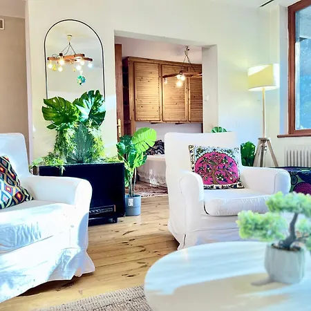 Downtown Spot At The Danube