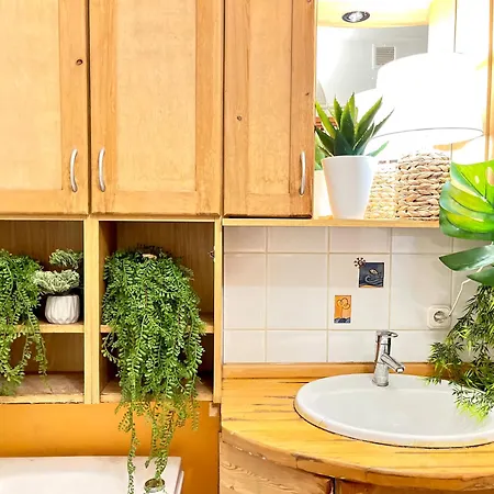 Downtown Spot At The Danube Budapest