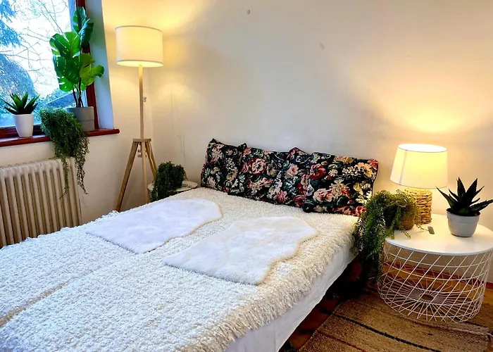 Downtown Spot At The Danube *